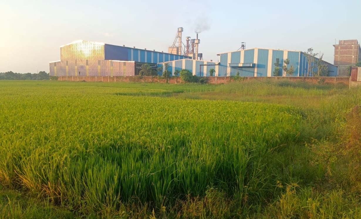 Annpurna Dall Mill Pvt Ltd
